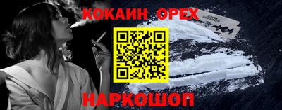 apvp Кингисепп