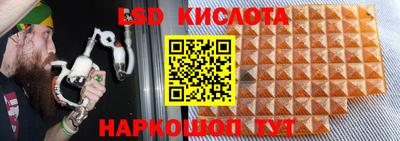 apvp Кингисепп