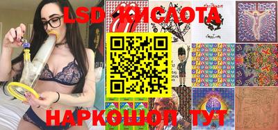 apvp Кингисепп
