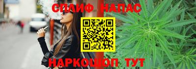 apvp Кингисепп