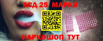 apvp Кингисепп