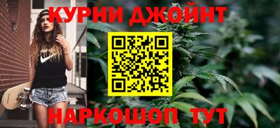 apvp Кингисепп