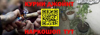 apvp Кингисепп
