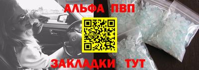 apvp Кингисепп