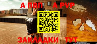 apvp Кингисепп