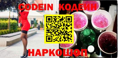 apvp Кингисепп